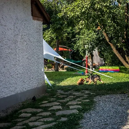 Hostel Youthink Cluj-Napoca